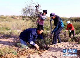 “治沙达人”张应龙：大漠蓬未断 花甲槿正荣